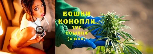 PSILOCYBIN Богородицк