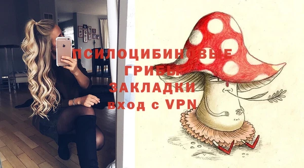 PSILOCYBIN Богородицк